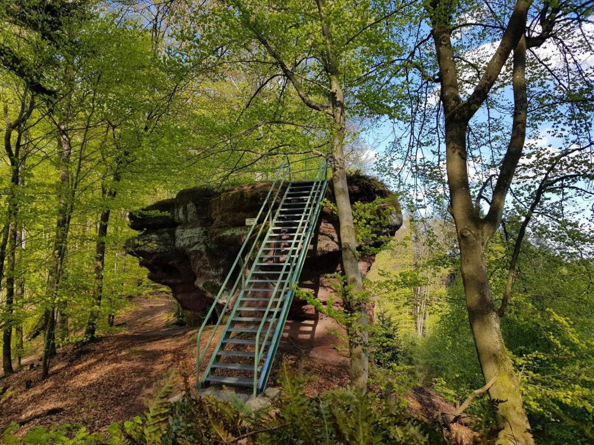 Schoene Ferienwohnung Mitten Im Pfaelzerwaldgebiet Leimen  Exterior photo